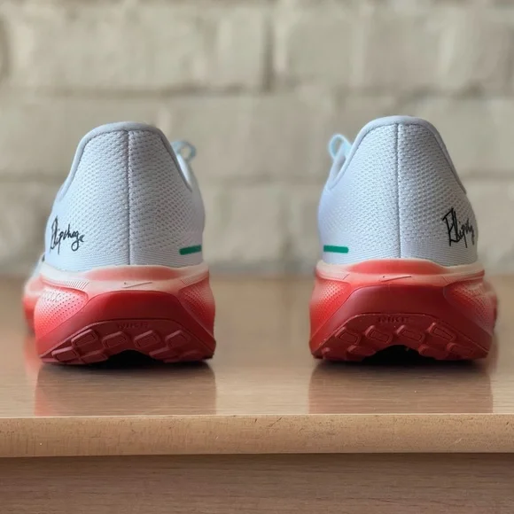 Nike x Eliud Kipchoge Air Zoom Pegasus 41 It is Just The Start Men HJ7037-100